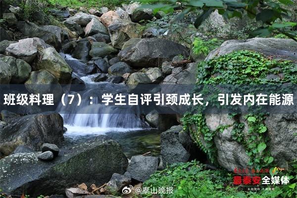 班级料理（7）：学生自评引颈成长，引发内在能源