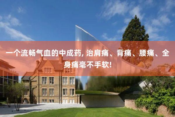 一个流畅气血的中成药, 治肩痛、背痛、腰痛、全身痛毫不手软!