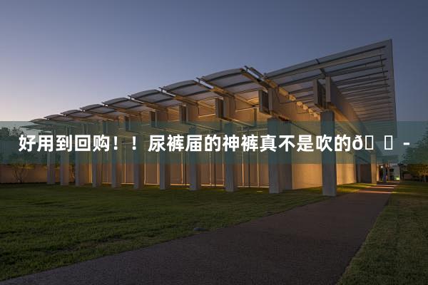 好用到回购!!尿裤届的神裤真不是吹的😭