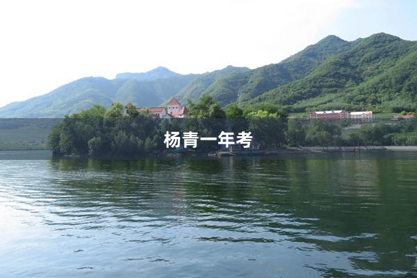 杨青一年考
