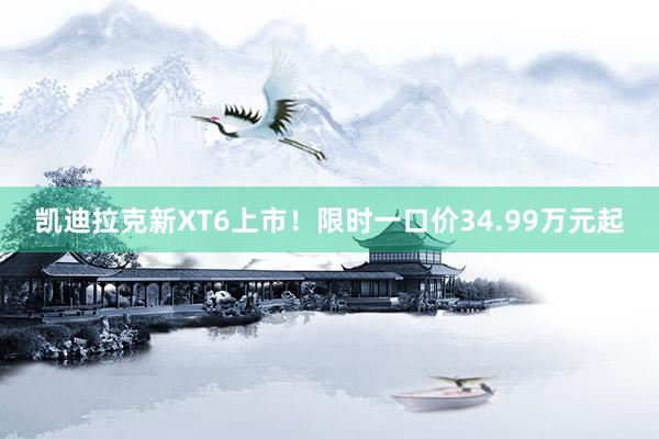 凯迪拉克新XT6上市！限时一口价34.99万元起