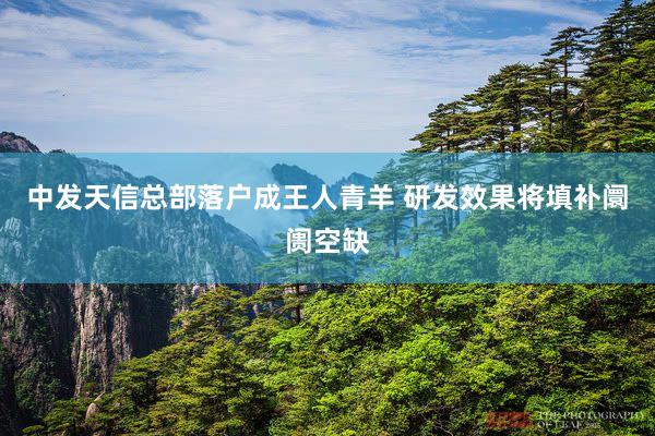中发天信总部落户成王人青羊 研发效果将填补阛阓空缺