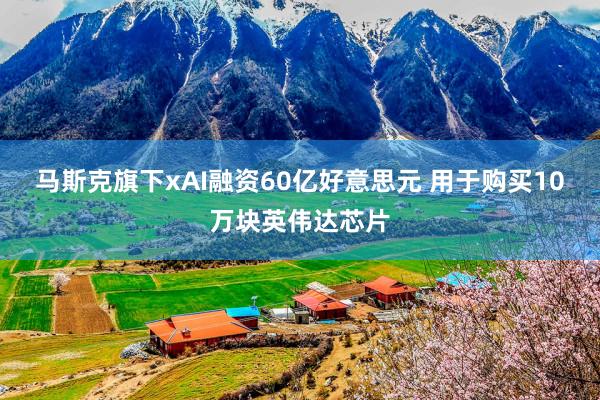 马斯克旗下xAI融资60亿好意思元 用于购买10万块英伟达芯片