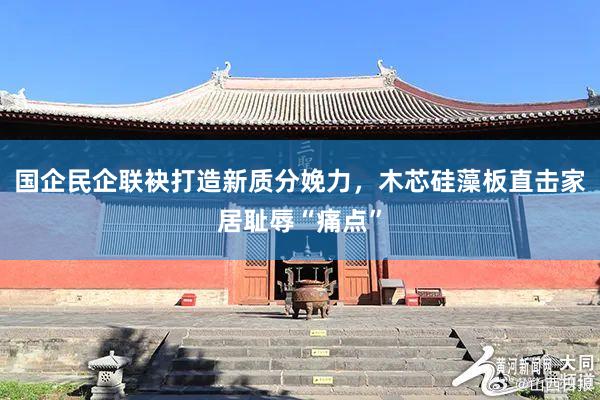 国企民企联袂打造新质分娩力，木芯硅藻板直击家居耻辱“痛点”