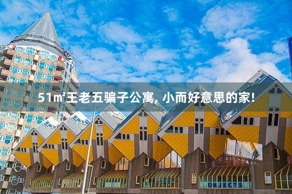 51㎡王老五骗子公寓, 小而好意思的家!
